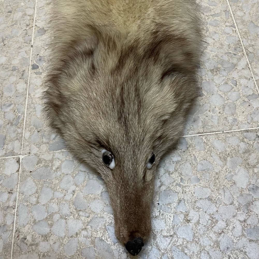 Real Fox fur 100 % authentic